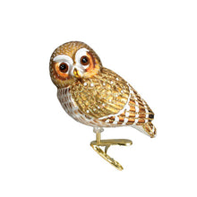 Load image into Gallery viewer, Pygmy Owl Ornament
