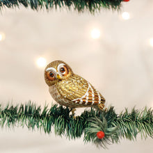 Load image into Gallery viewer, Pygmy Owl Ornament
