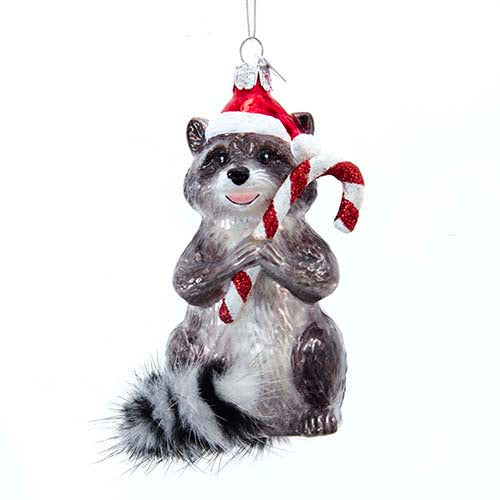 Raccoon with Candy Cane Glass Ornament 4.375