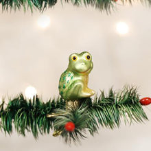 Load image into Gallery viewer, Happy Froggy Ornament
