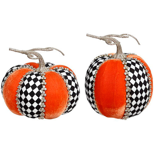 Harlequin Pumpkin 7