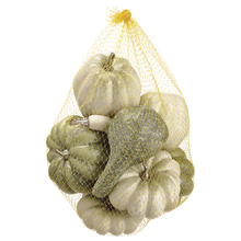 Load image into Gallery viewer, Weighted Cream and Green Pumpkin and Gourd  6&quot; Assortment Set of 8
