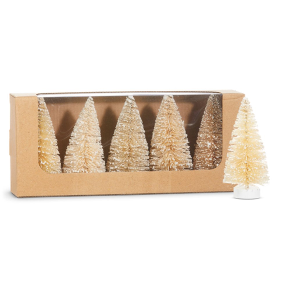 Box of Snowy Natural Bottle Brush Trees 4