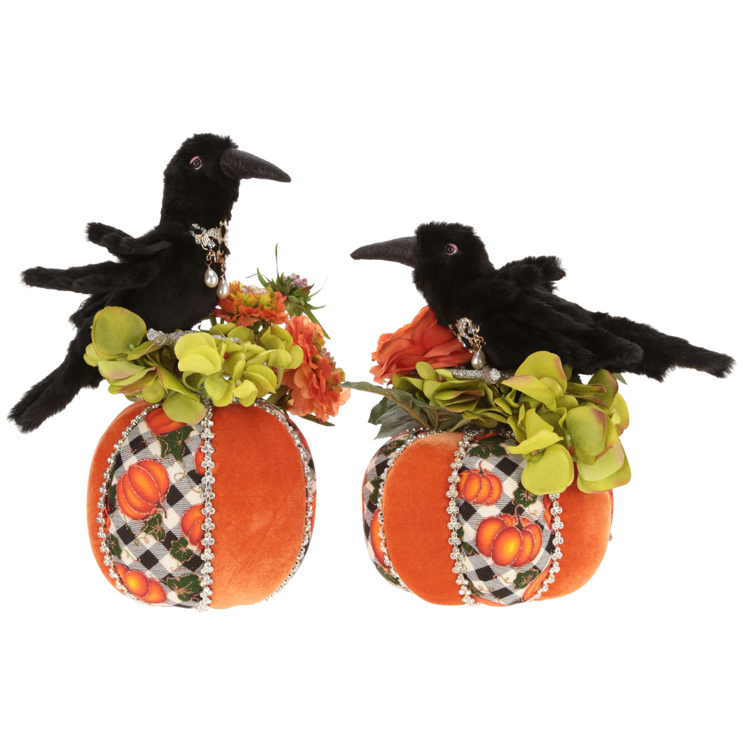 Pumpkins with Crows 12.5