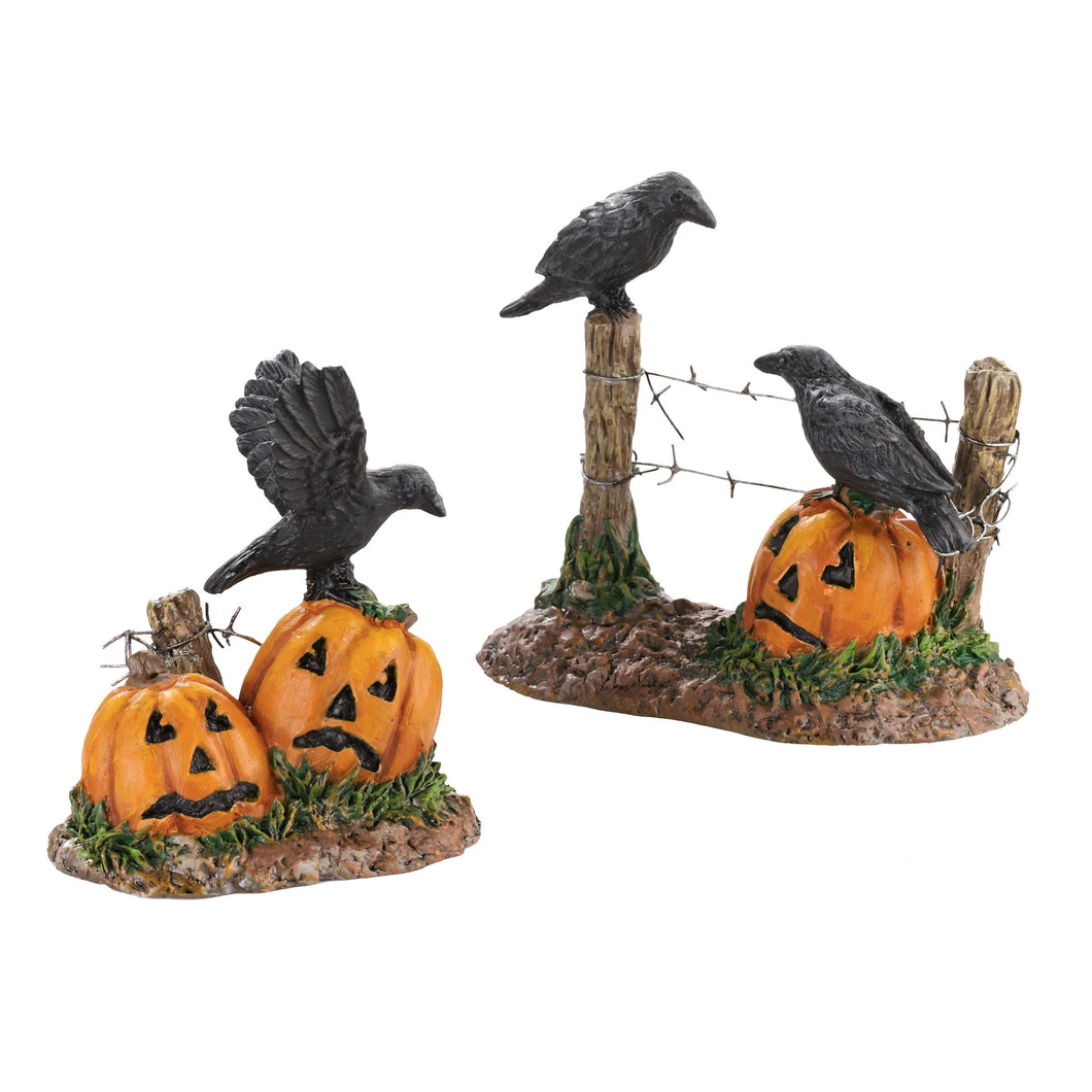 Halloween Ravens