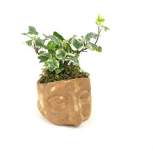Load image into Gallery viewer, Lil&#39; Bob Planter
