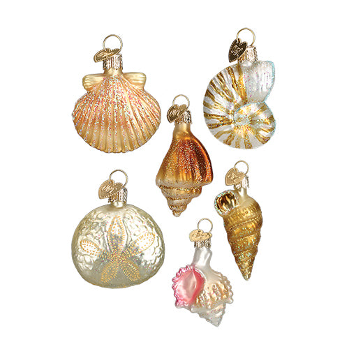 Sea Shell Ornament Set of 6