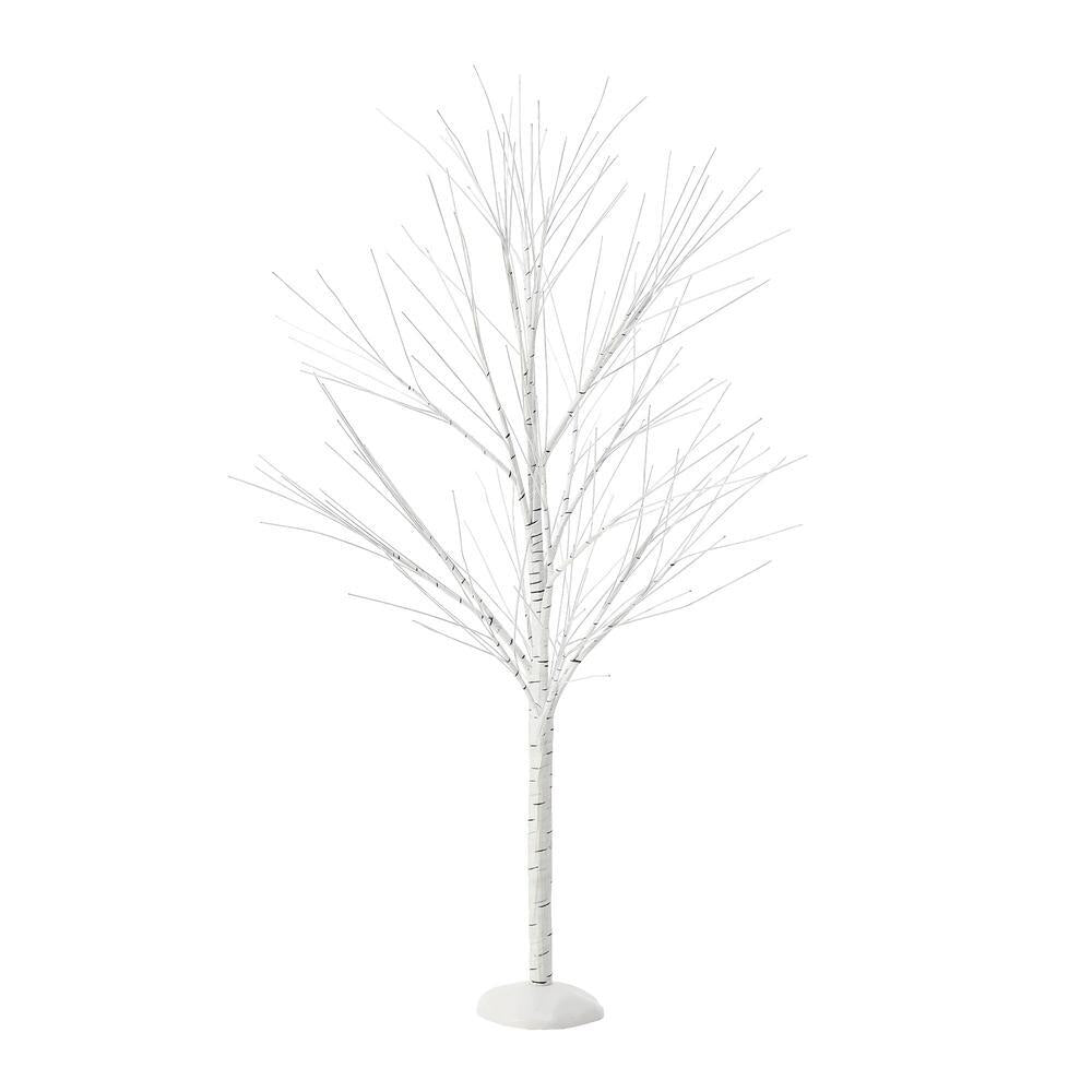 Birch Tree