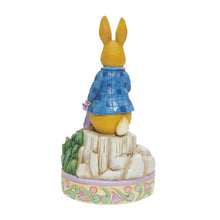Load image into Gallery viewer, Peter Rabbit with Onions
