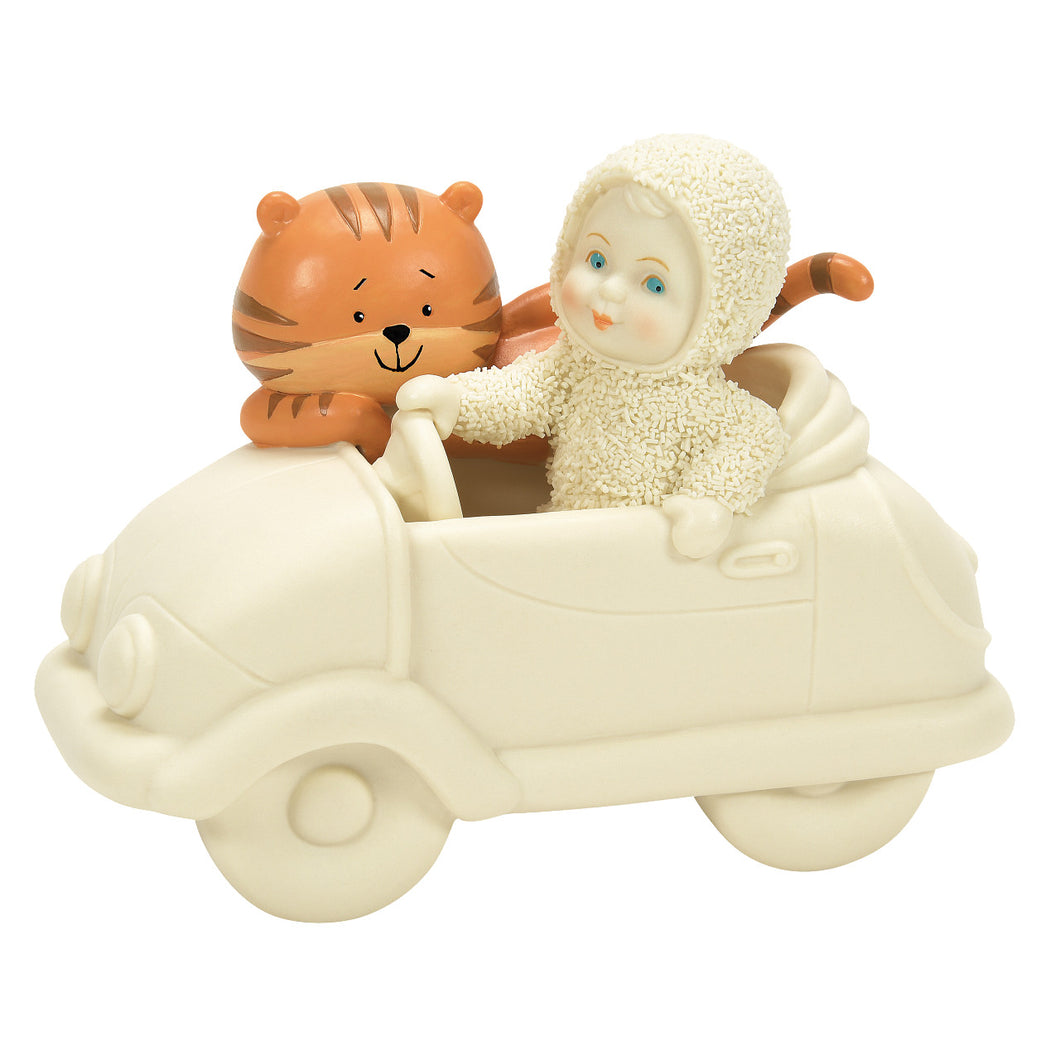 Travelling with a Tiger