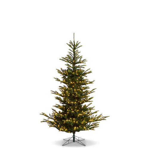 Norwegian Spruce with Brilliant LED Lights 7.5'
