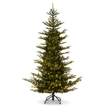Load image into Gallery viewer, Norwegian Spruce with Brilliant LED Lights 9&#39;
