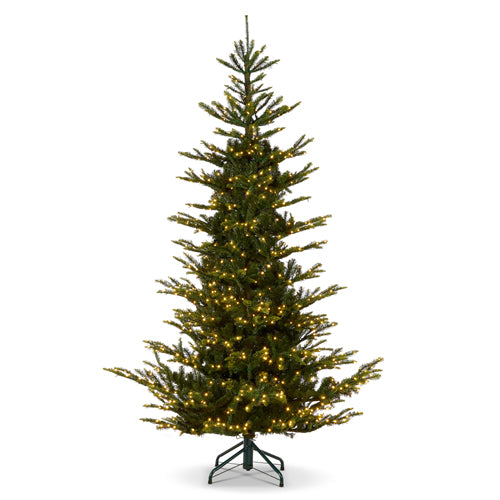 Norwegian Spruce with Brilliant LED Lights 9'