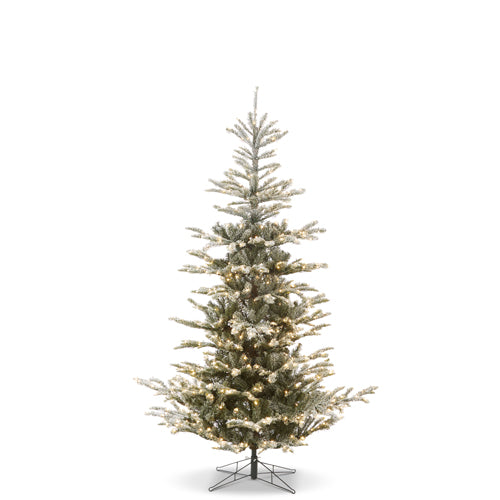Snowy Norwegian Spruce with Brilliant LED Lights 7.5'